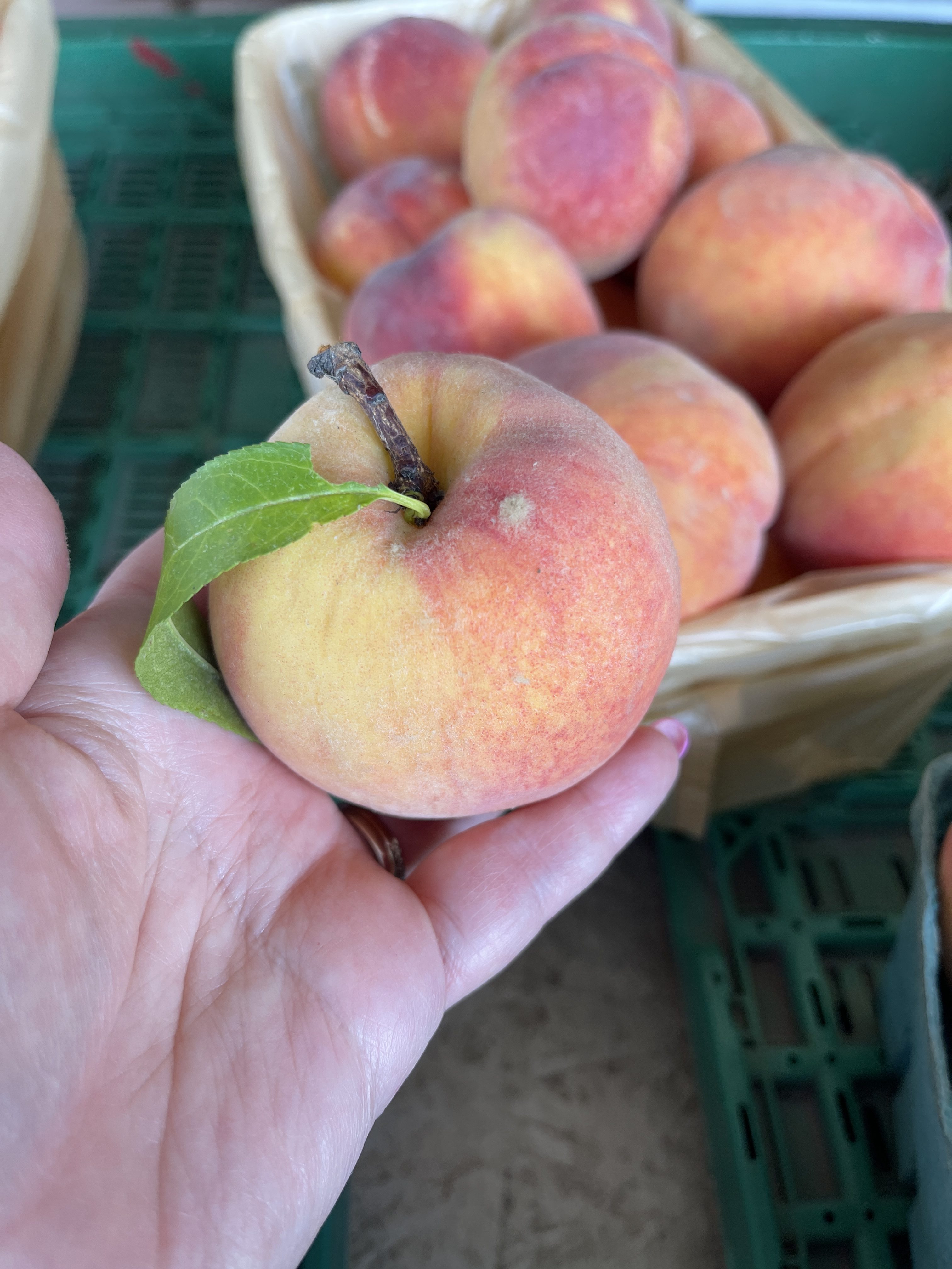 Celebrating North Carolina Peaches • Heidi Billotto Food Charlotte NC